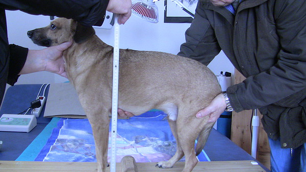 med_Darf's ein bisschen mehr sein.JPG (600 x 338)